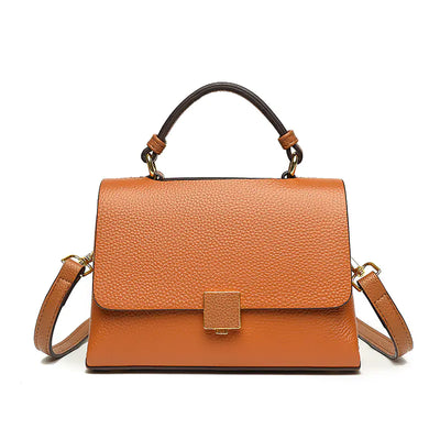 Brown leather handbag with a gold clasp on a white background